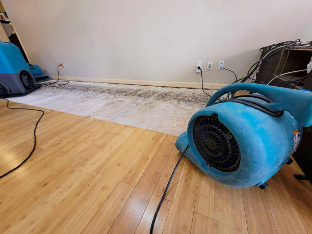 Professional Flood Damage Cleanup technician working in Nesbit, MS